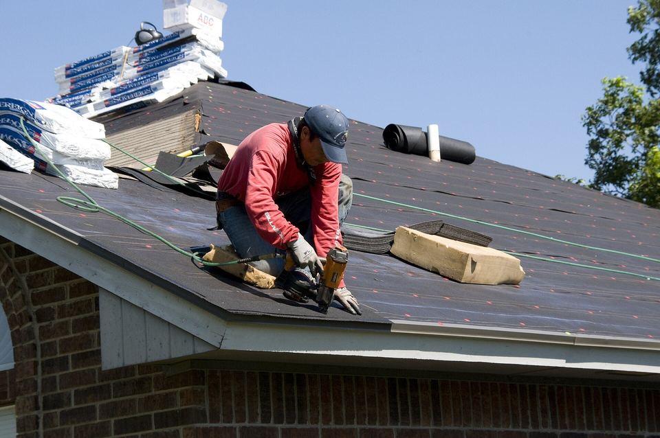 Roofer in a red shirt kneeling on a roof, nailing down new asphalt shingles