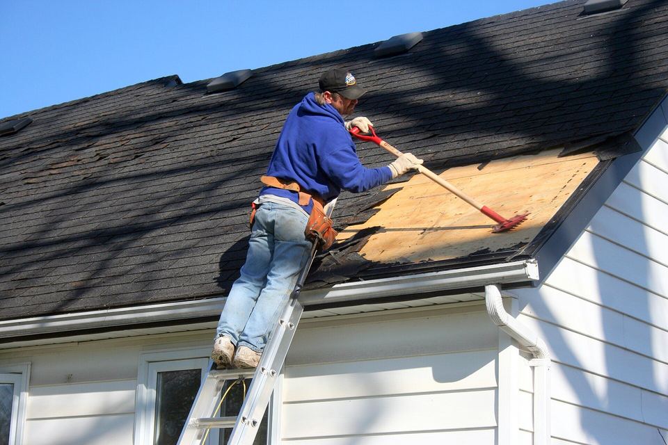 Worker on a ladder stripping worn asphalt shingles to expose the wooden roof deck